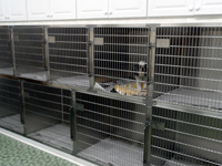 Pet animal cages in the animal hospital | Olean Veterinary Clinic in Olean, NY